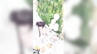 COS爆机少女小萝莉猫小吉新作